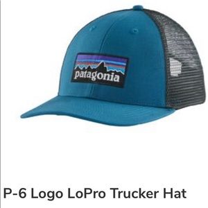 Patagonia P-6 Logo Trucker Hat